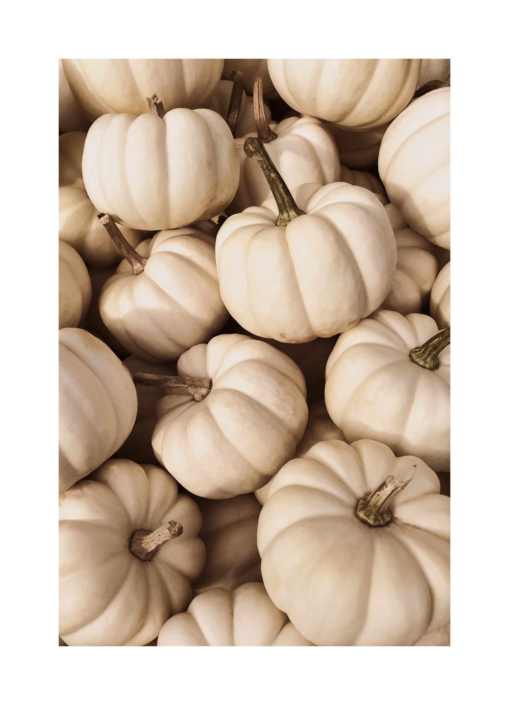 White Pumpkins Print