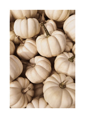 White Pumpkins Print