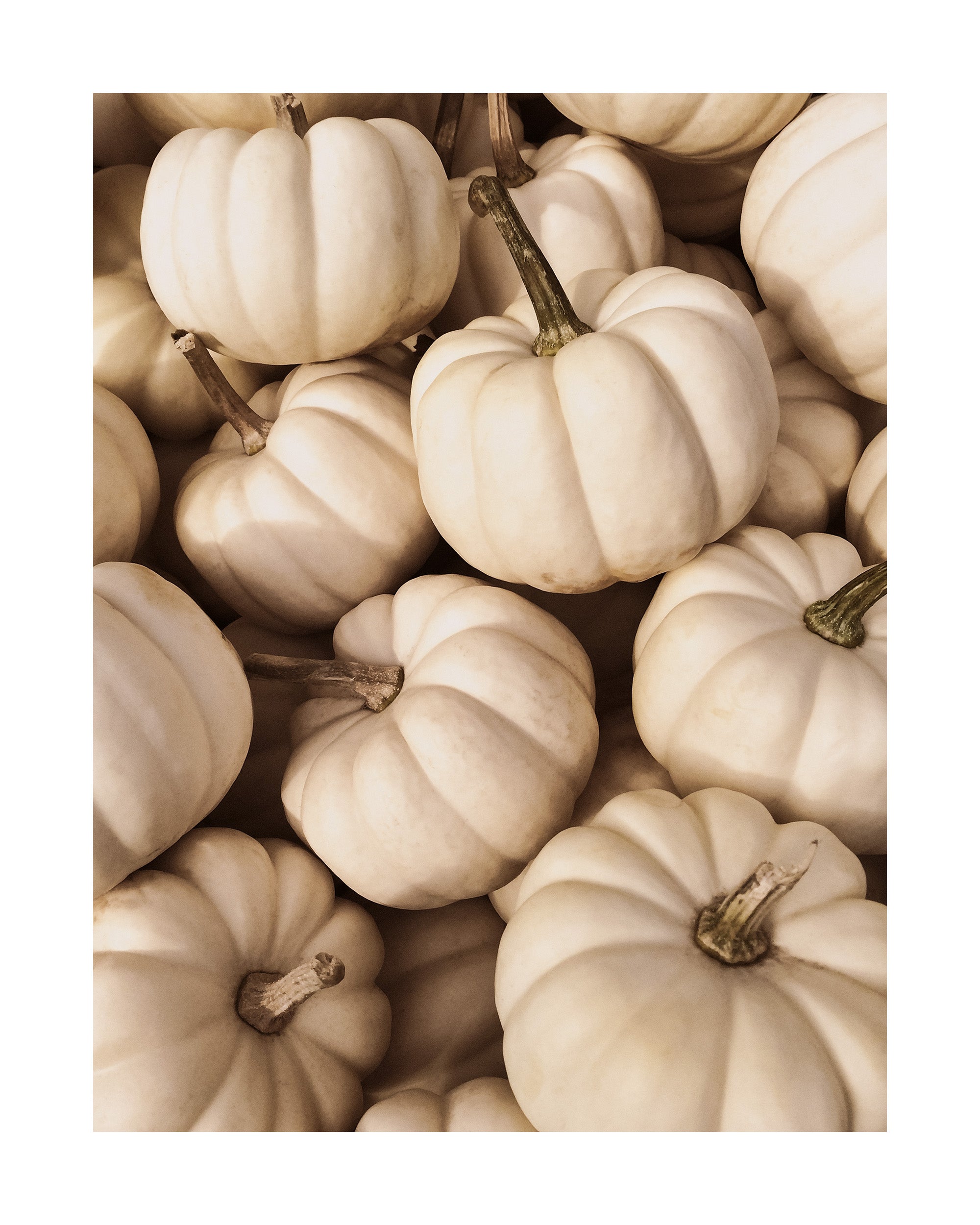 White Pumpkins Print