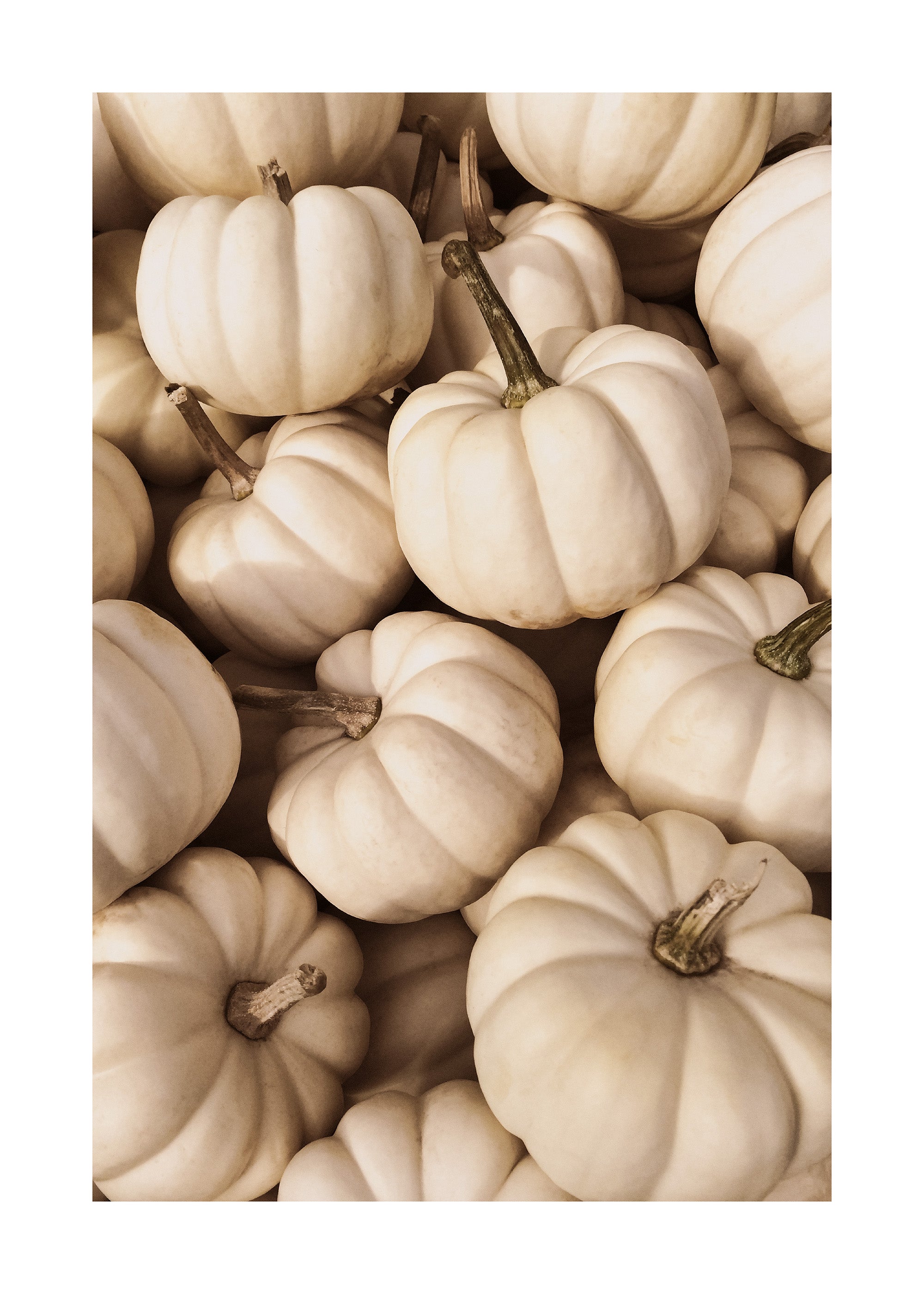White Pumpkins Print