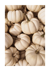 White Pumpkins Print