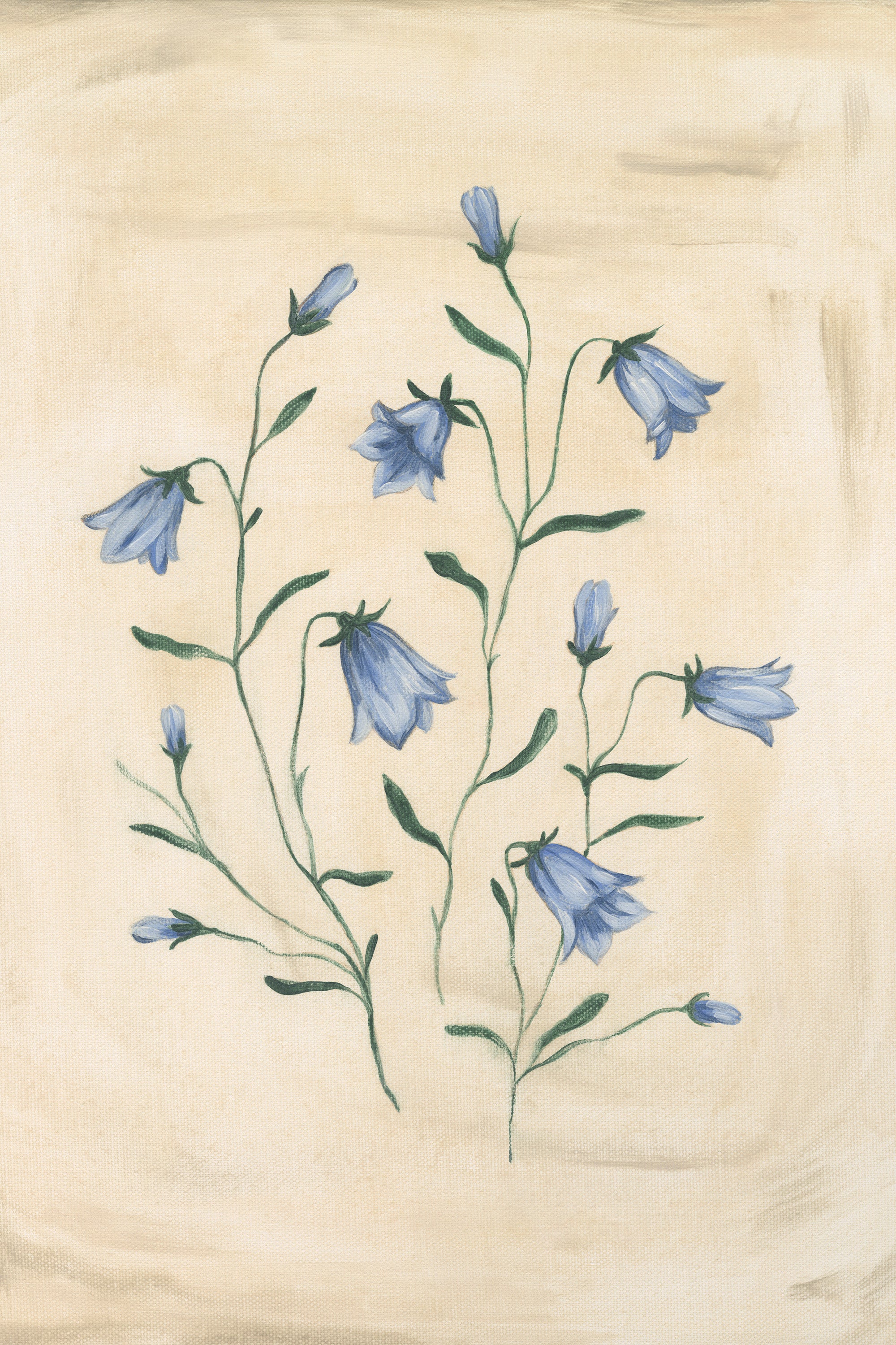 Bluebell Study Print