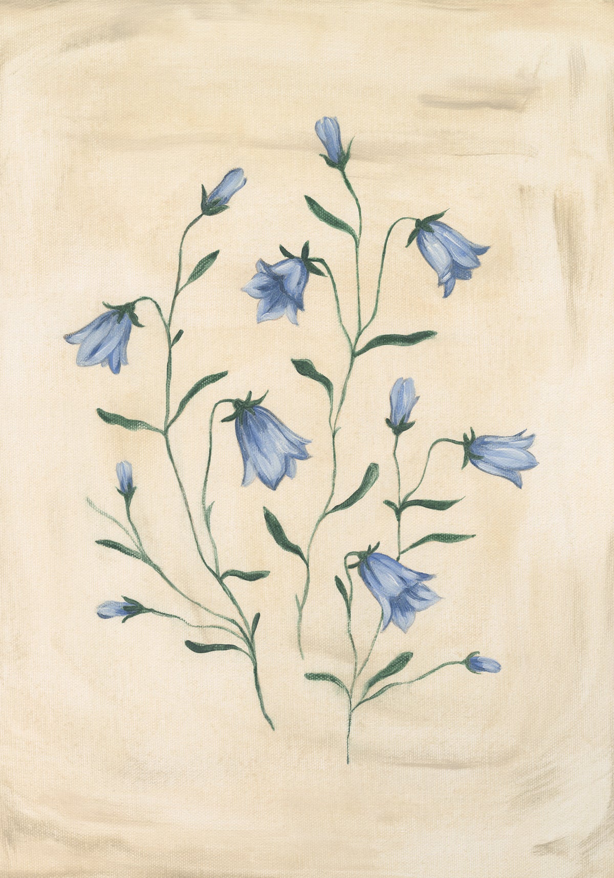 Bluebell Study Print