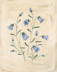 Bluebell Study Print