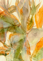 Dan Hobday - Flourish Print